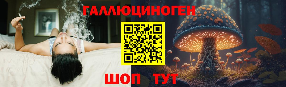 Псилоцибиновые грибы мухоморы Курчатов